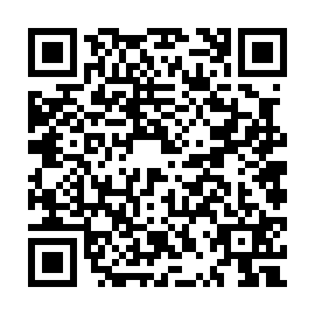 QR code for MPV0210