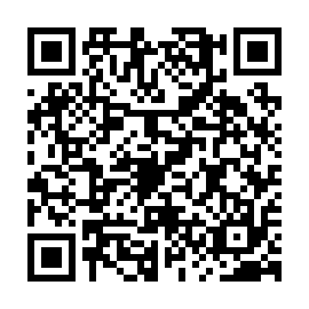QR code for MSG2176
