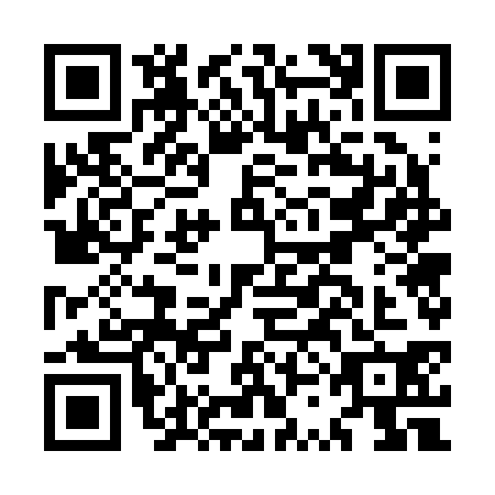 QR code for MSG2304