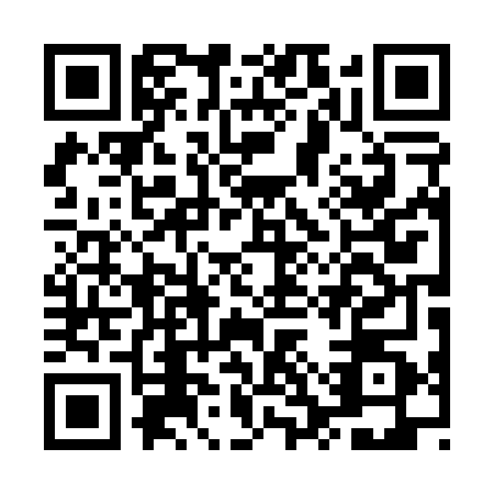 QR code for MSP0606