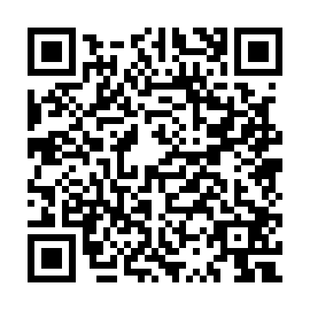 QR code for MSP1029