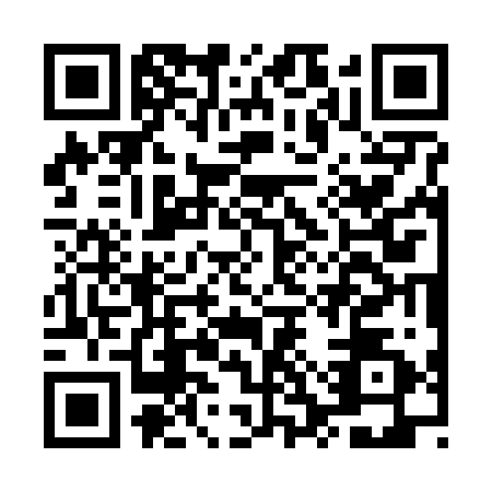 QR code for MSS6228