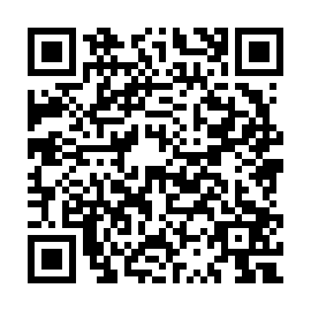 QR code for MSX6032