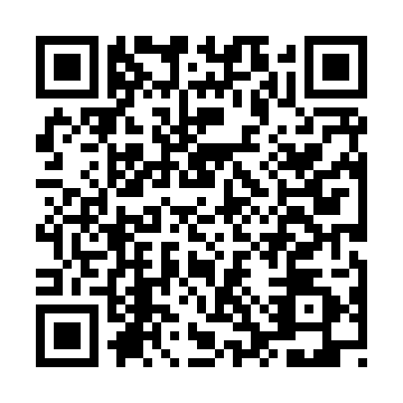 QR code for MSX8029