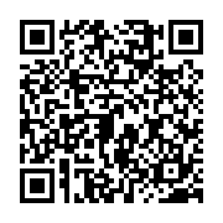 QR code for MXV1379