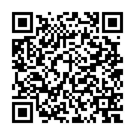 QR code for MYS0613