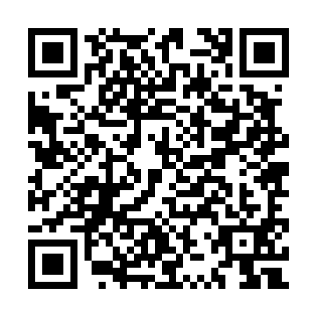 QR code for MZZ4919