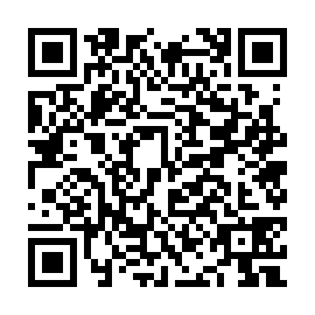 QR code for NAG3381