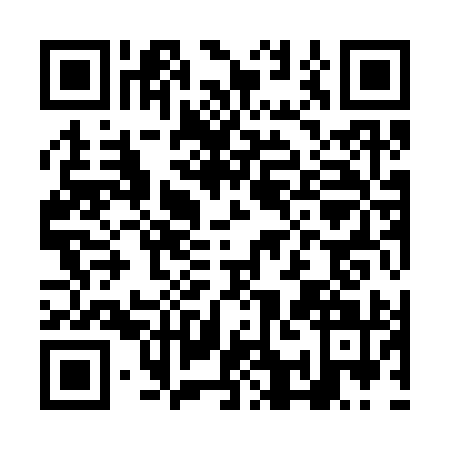 QR code for NAI3919