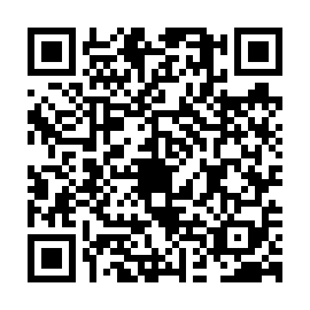 QR code for NDO6599