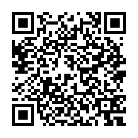 QR code for NEI2729