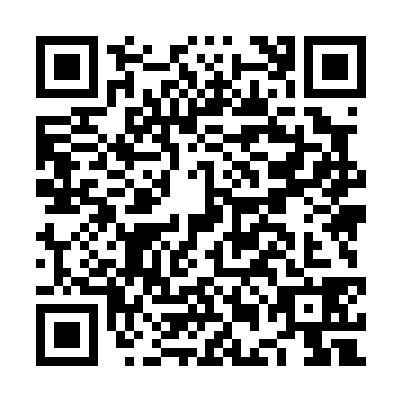QR code for NEM0383