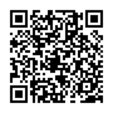 QR code for NES0452