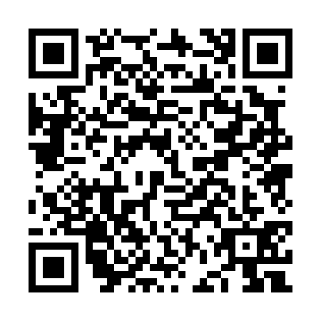 QR code for NFP0313