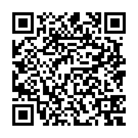 QR code for NHX4384
