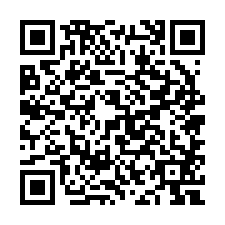 QR code for NIU2822