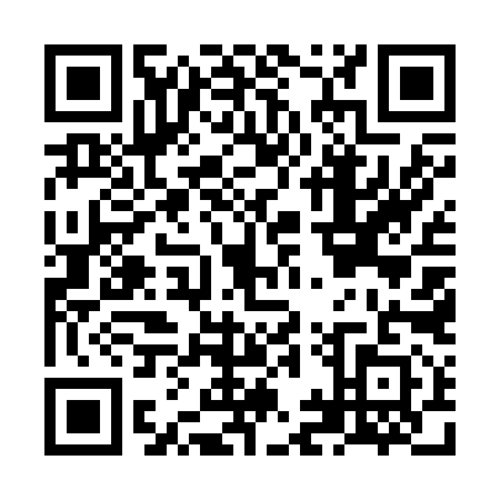 QR code for NIU2918