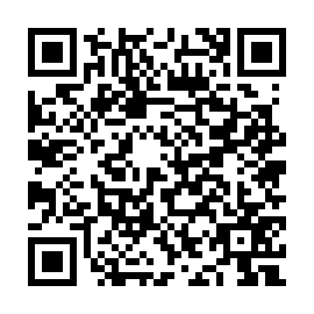 QR code for NIU3778