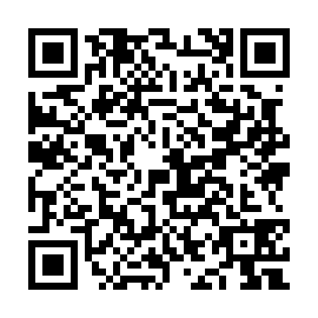 QR code for NIY0384