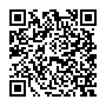 QR code for NKB4529