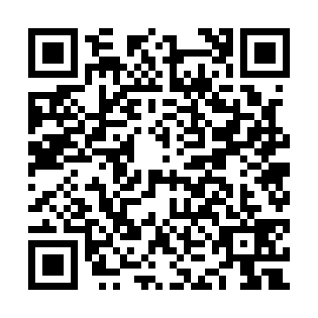 QR code for NKG1393