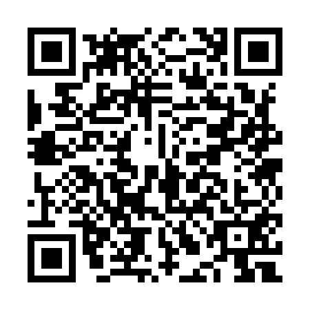 QR code for NLC9513