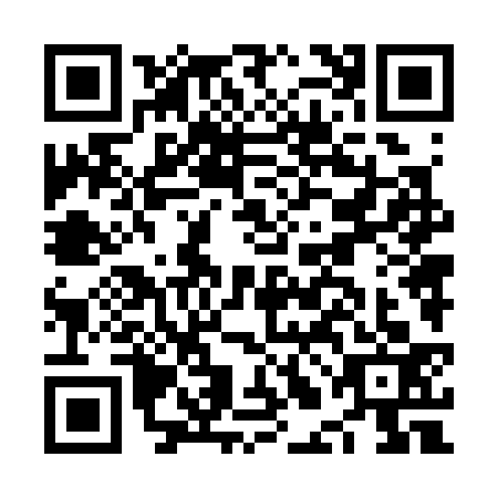 QR code for NLN3338