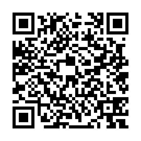 QR code for NNG0381