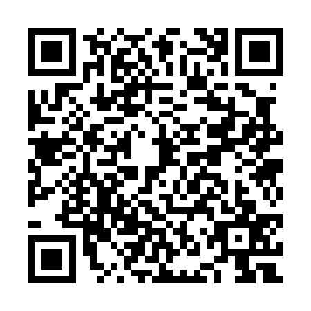 QR code for NNS0370