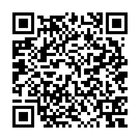 QR code for NPE6313