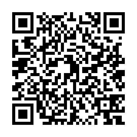 QR code for NPG1384