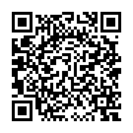 QR code for NPM0653