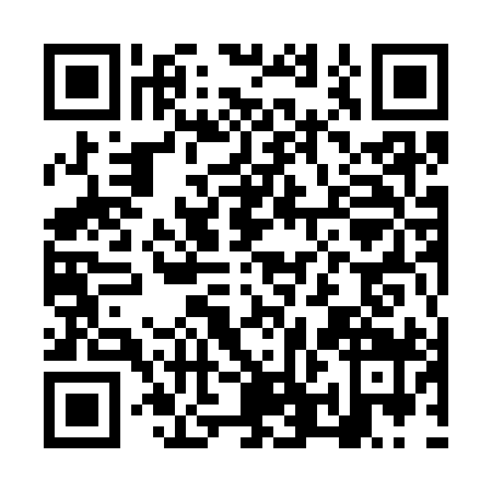 QR code for NPM3991