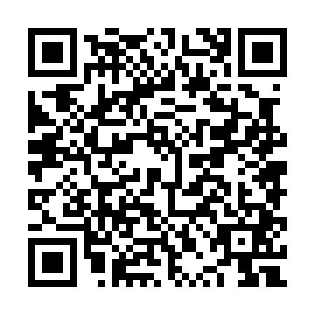 QR code for NPN0410