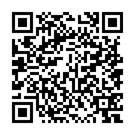 QR code for NPN9729