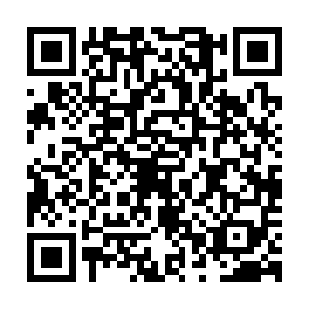 QR code for NPP3594