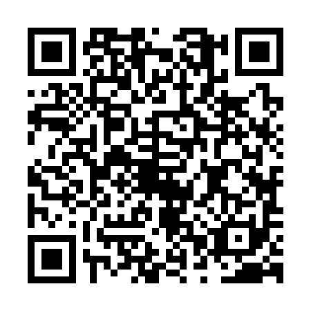 QR code for NPZ3913