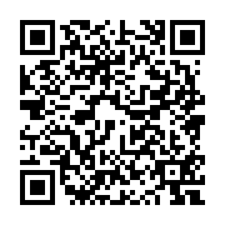QR code for NQX6111