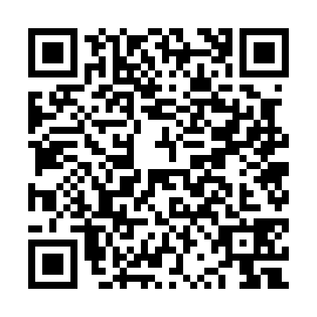 QR code for NRG0384