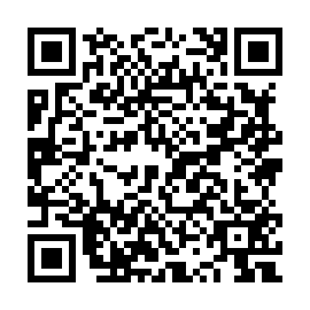 QR code for NSI8533