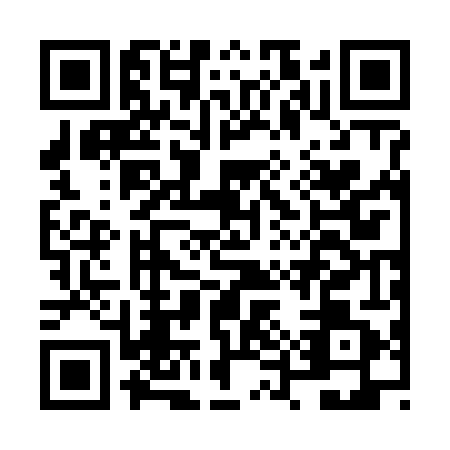 QR code for NUR6413