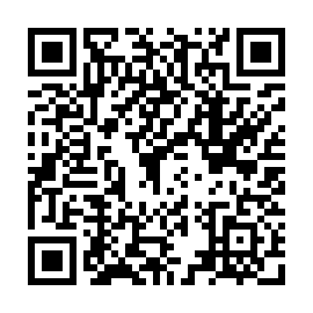 QR code for NUY9311