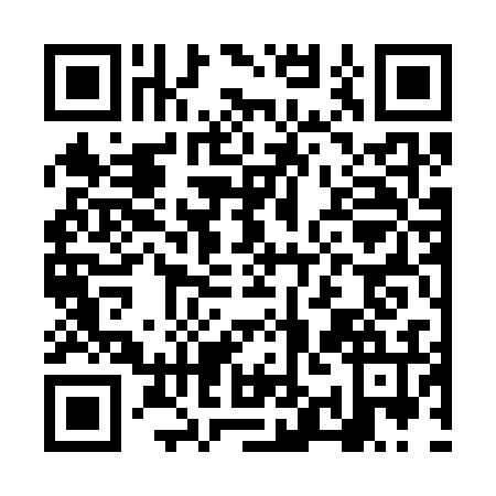 QR code for NYC3363