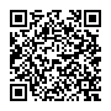 QR code for NYE0173