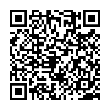 QR code for NYQ4339