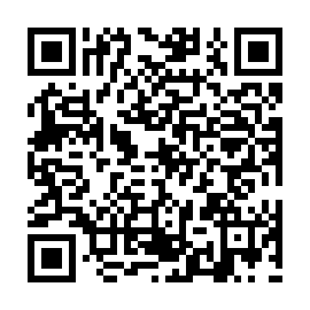 QR code for NYX2463