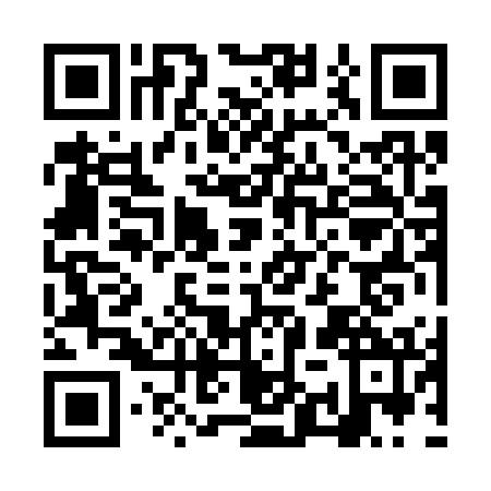 QR code for NYZ3729
