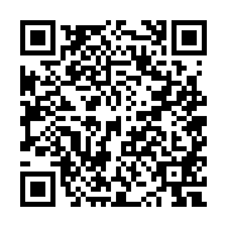 QR code for NZG3881