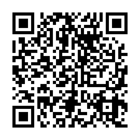 QR code for NZK0393