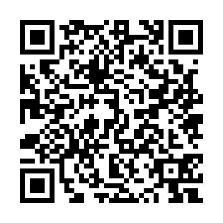 QR code for NZZ1303